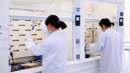 新生 為專業智造而生——比樂品牌煥新升級，攜寵糧新形態續寫科學喂養方程